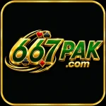 667PAK Game
