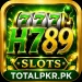 H789 Game logo