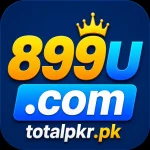 899u Game