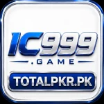 ic999 logo icon