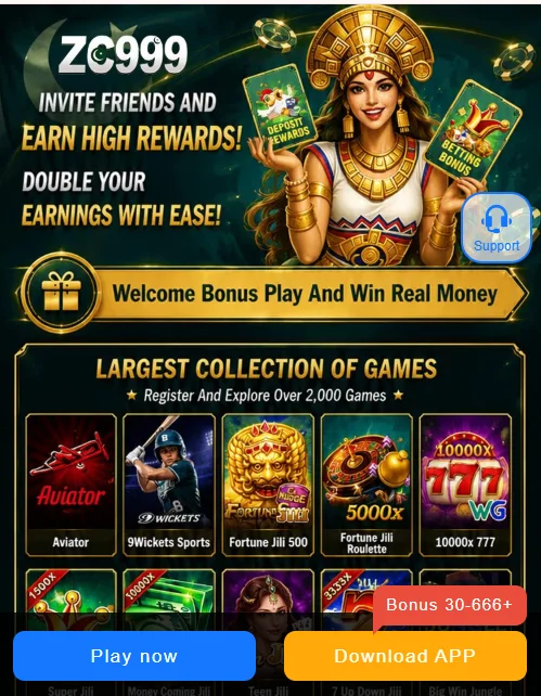 zc999 game